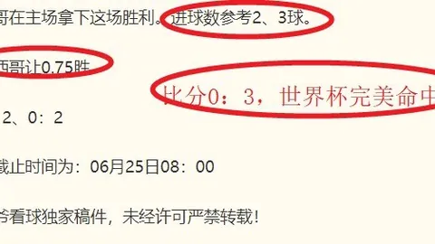 广州赛马会，马匹资料， 111540 2